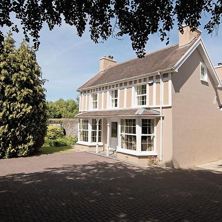Copper Beech Cottage Henfynyw Upper Exterior foto